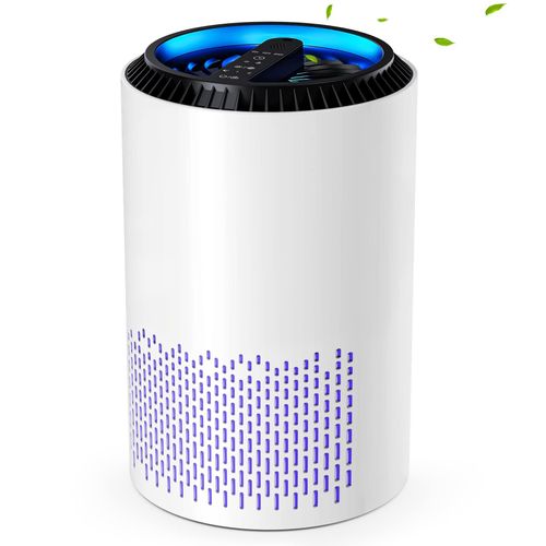 meilleur purificateur dair chambre