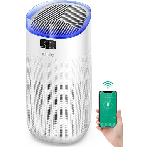 meilleur rapport qualite prix purificateur dair allergies