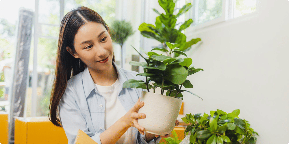 Choisir le bon purificateur d'air écologique